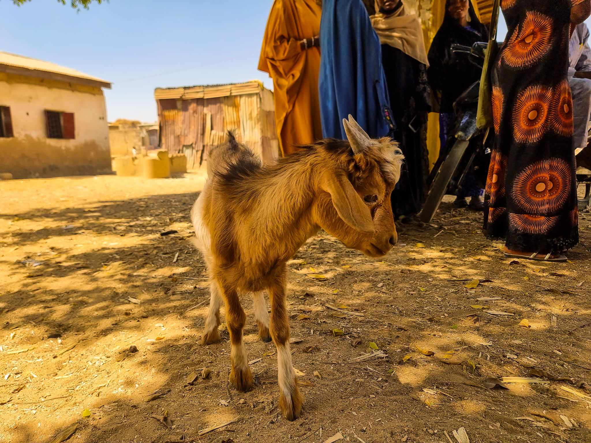 Field Notes by Zainab A. Jatau